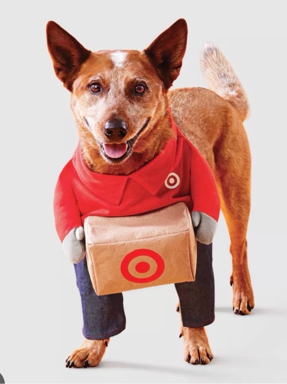 Target Red Delivery Dog Costume with Tan Package for small dog